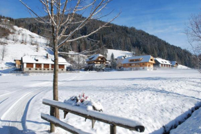 Biohof Seidl, Bad Kleinkirchheim, Österreich